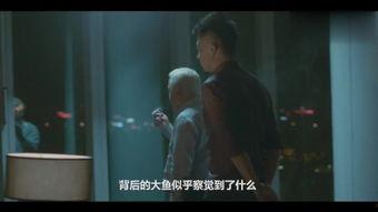 哥 在线观看免费,揭秘网络热剧的魅力所在